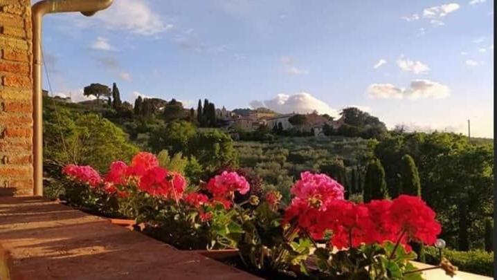Apartment Leonaerdo Guests House *